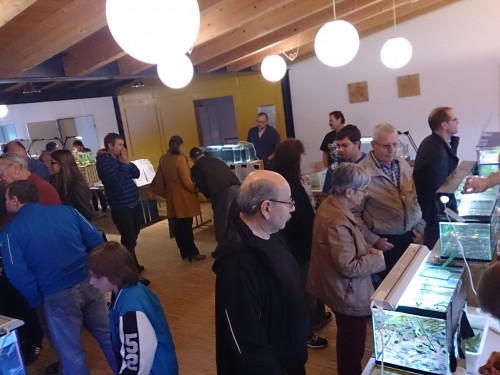 Monatsbörse November 2013